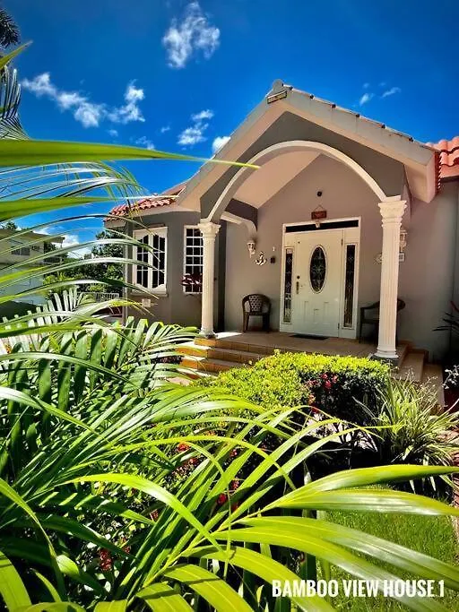 Bamboo House- Villa Rincon 0*,  Puerto Rico